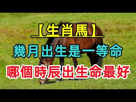 屬馬幾年次|屬馬今年幾歲 馬年是民國西元哪幾年